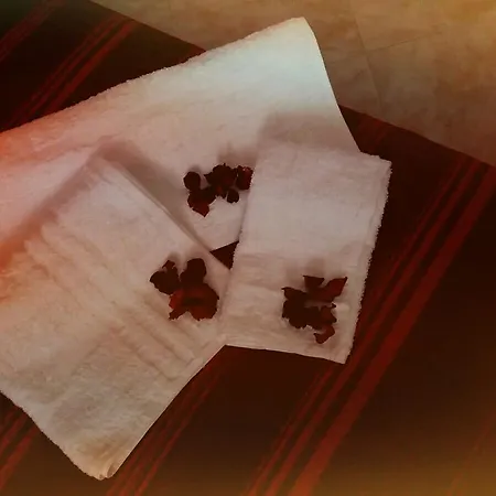 Aia Lucia Bed & Breakfast *
